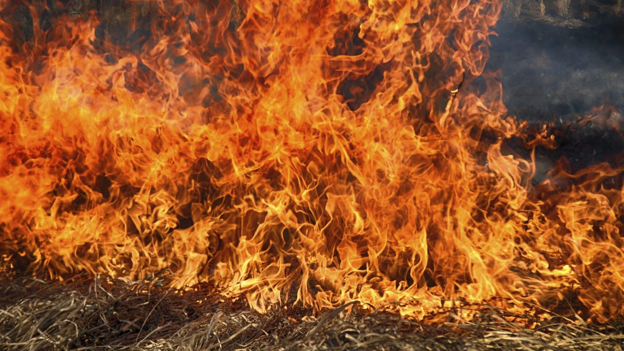 Wall of fire burning shrubs Wall of fire burning shrubs