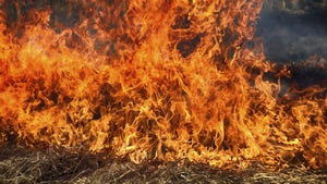 Wall of fire burning shrubs Wall of fire burning shrubs