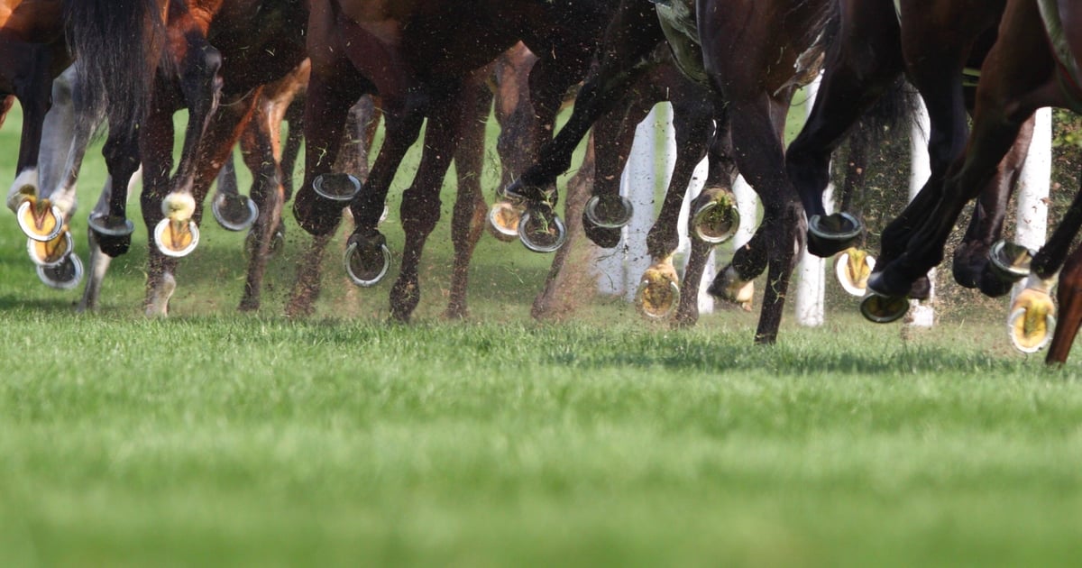 ShinyHunters Claims Breach of Rival Clop’s Leak Site and Demands Bitcoin