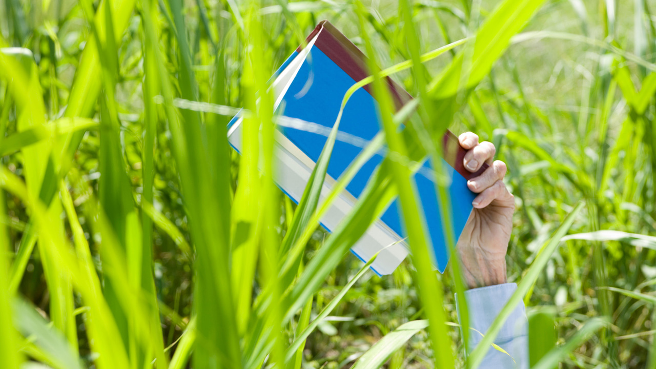 young woman reading a book of poetry in a field of wild green grass young woman reading a book of poetry in a field of wild green grass