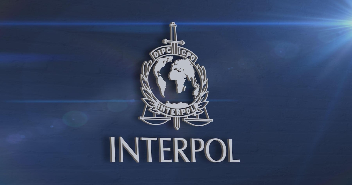 6 Info About How INTERPOL Fights Cybercrime