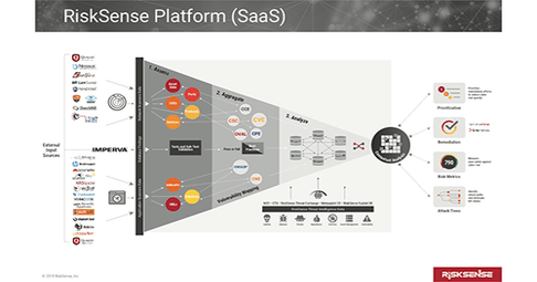 RiskSense Platform Demonstration