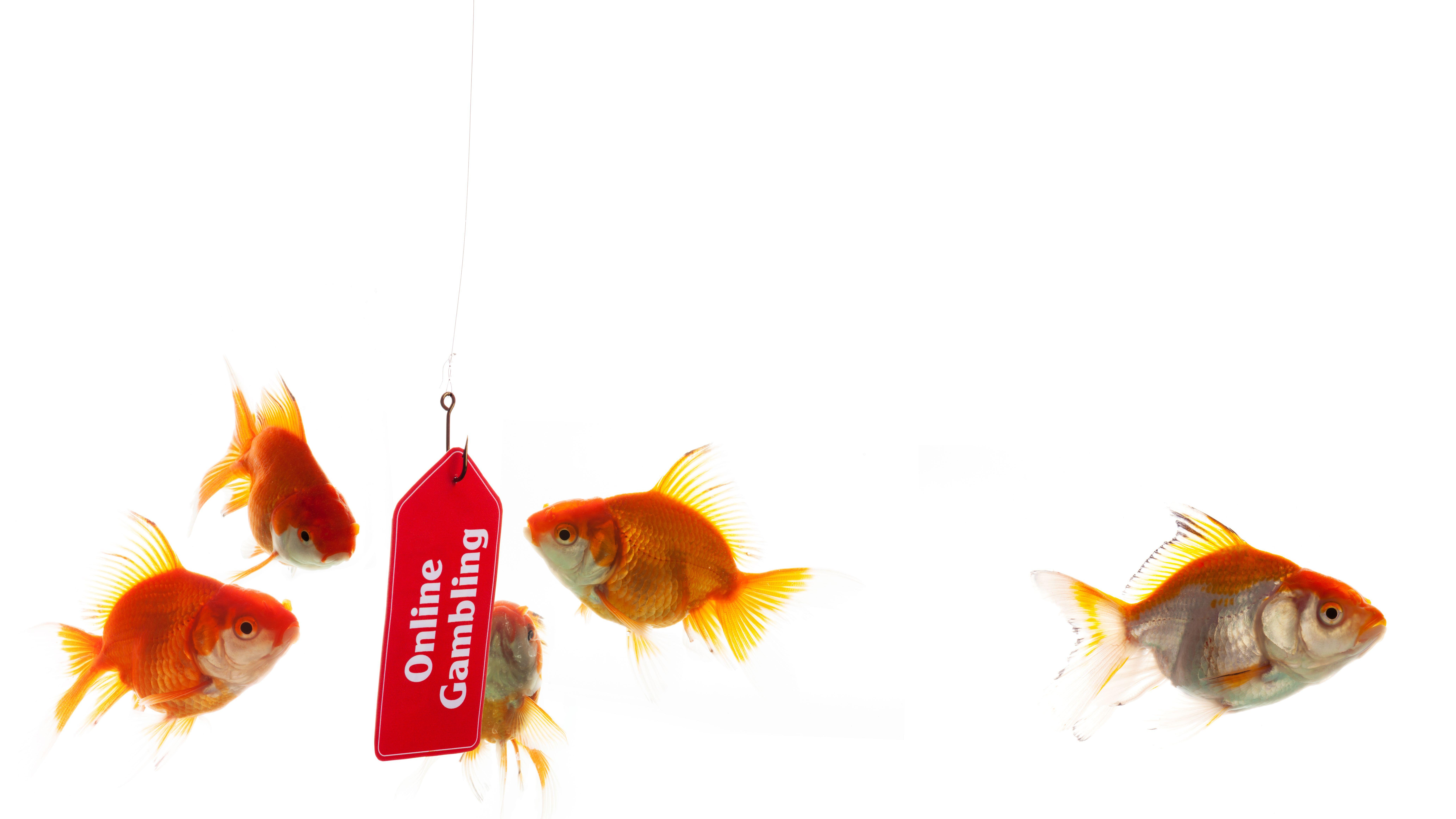 UAT-8099 Hijacks Reputable Sites for SEO Fraud & Theft