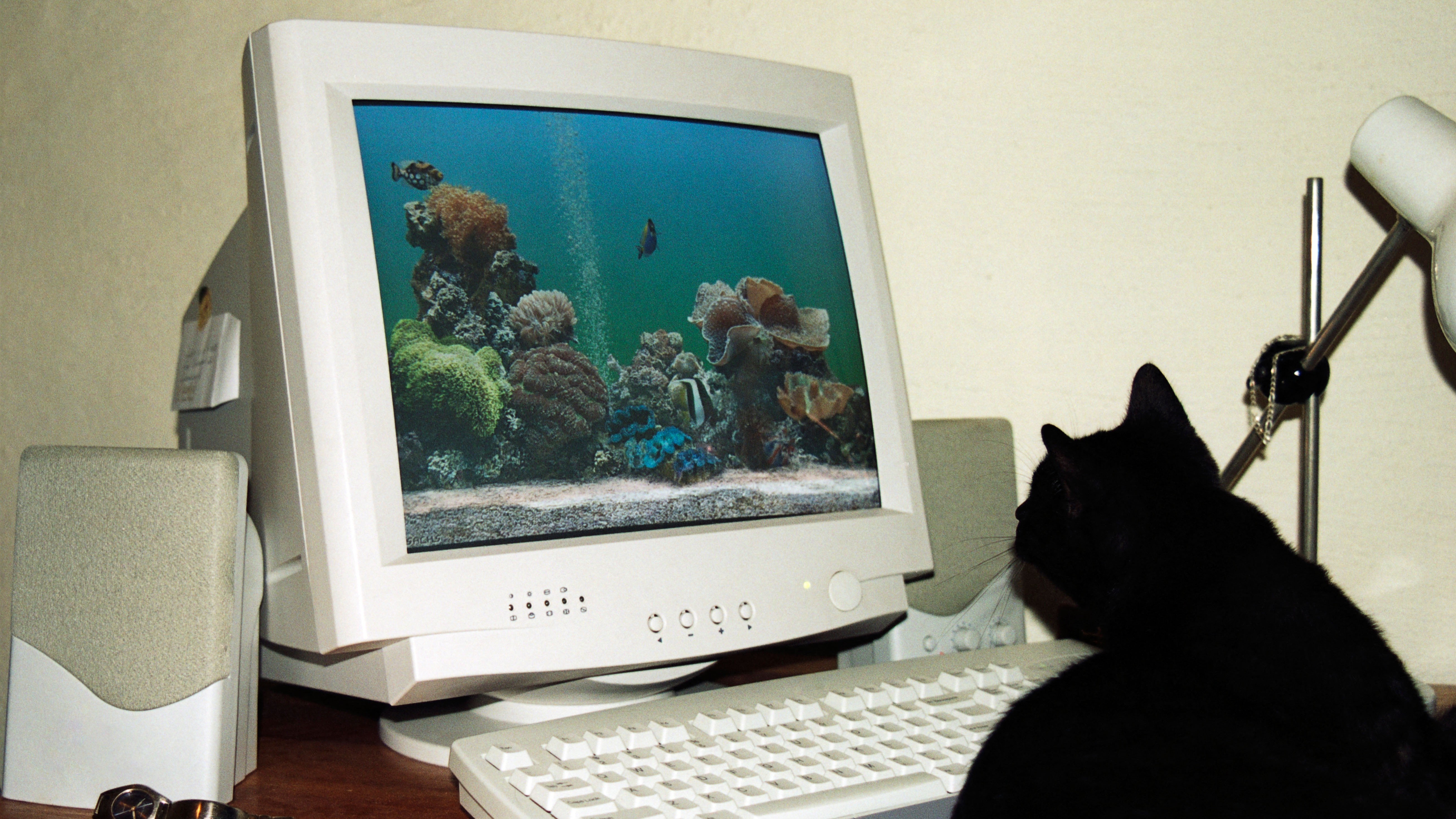 Attackers Use Windows Screensavers to Drop Malware, RMM Tools