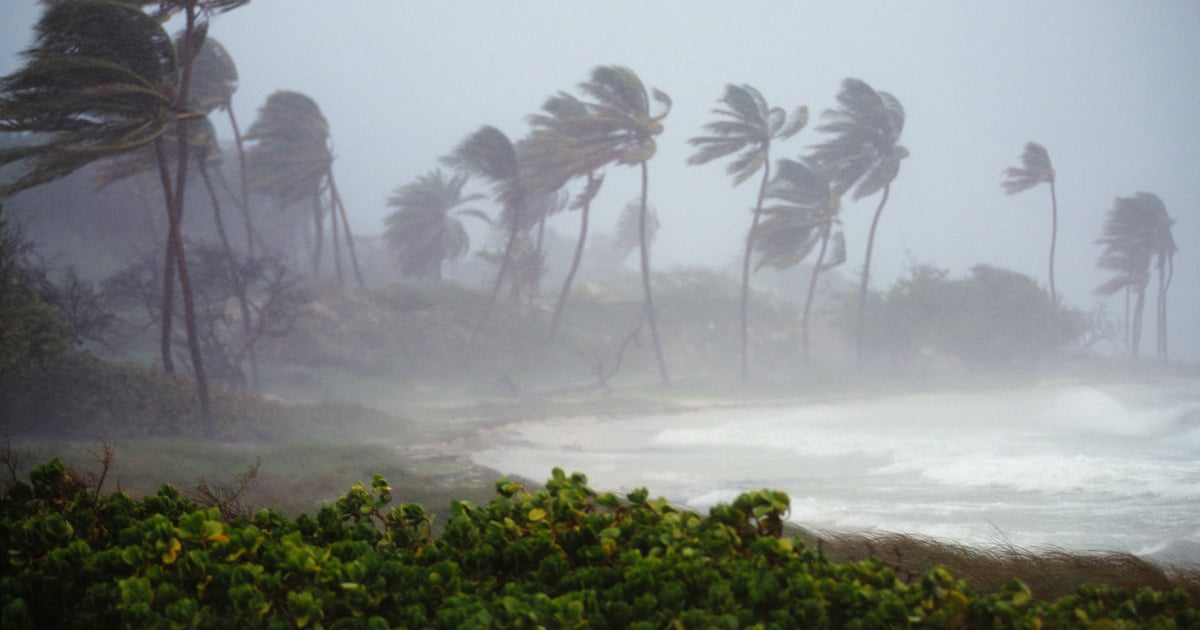 CISA Issues Fraud Warning Following Hurricane Helene CISA Issues Fraud Warning Following Hurricane Helene
