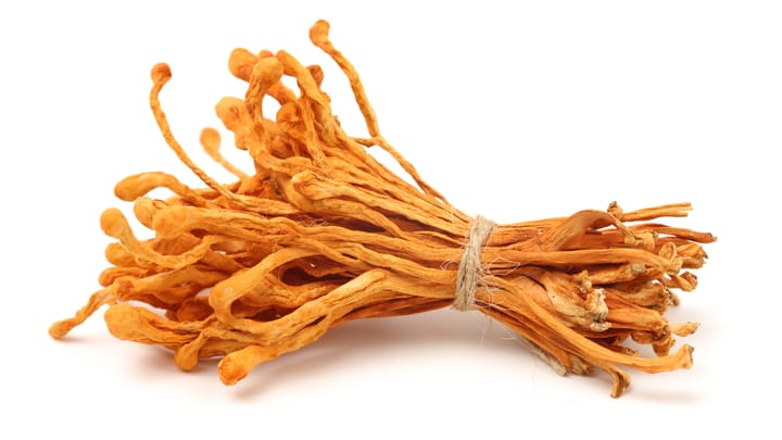 'Cordyceps': Mushrooming Malicious Pull Requests Threaten Developer Workflows
