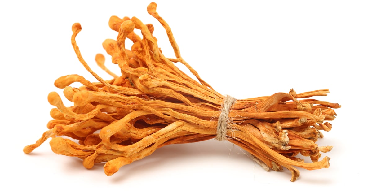 'Cordyceps': Mushrooming Malicious Pull Requests Threaten Developer Workflows