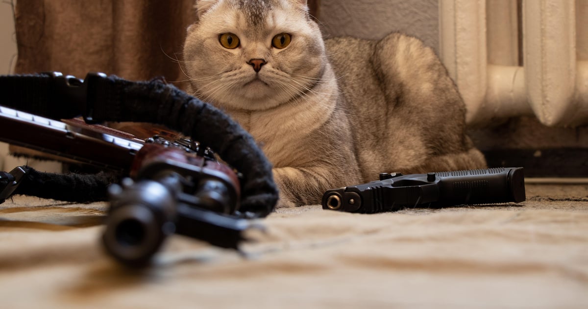 Commando Cat Digs Its Claws into Exposed Docker Containers Commando Cat Digs Its Claws into Exposed Docker Containers