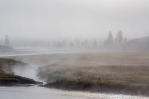 A foggy meadow and stream