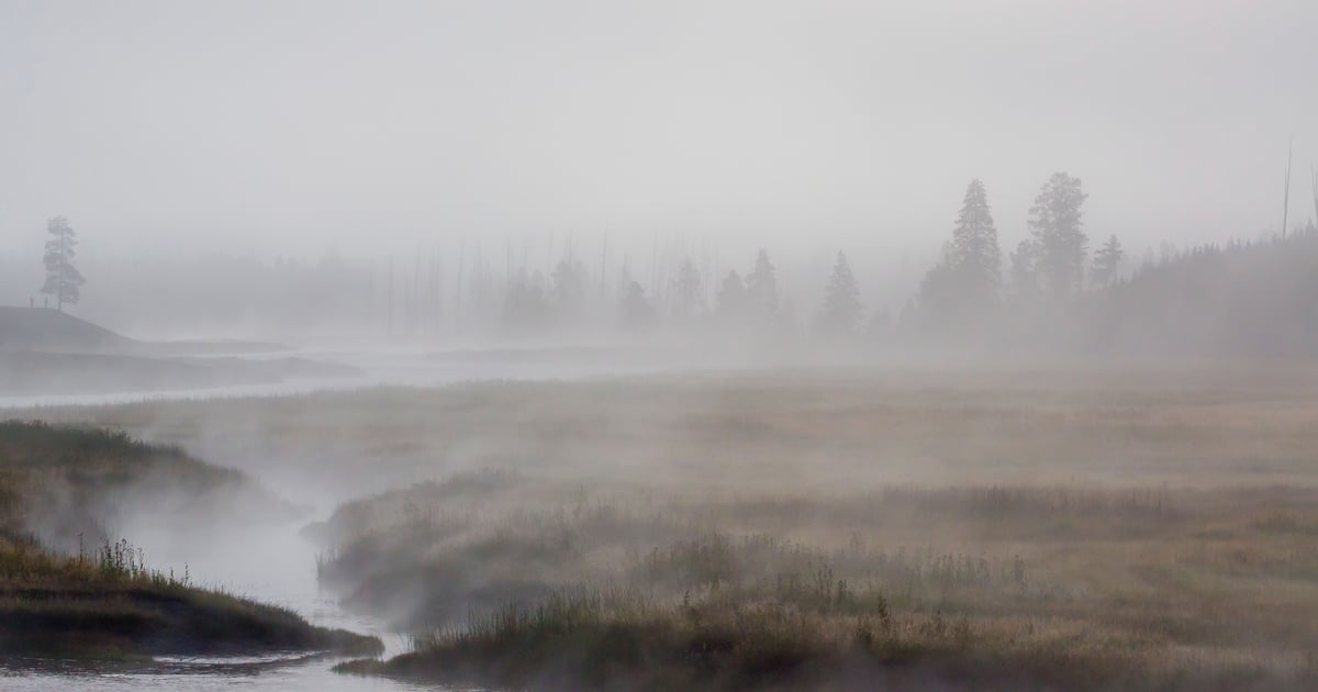 “Fog” Ransomware Targets Education and Recreation Industries “Fog” Ransomware Targets Education and Recreation Industries