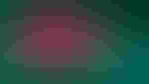 The Bangladesh flag in a series of dots
