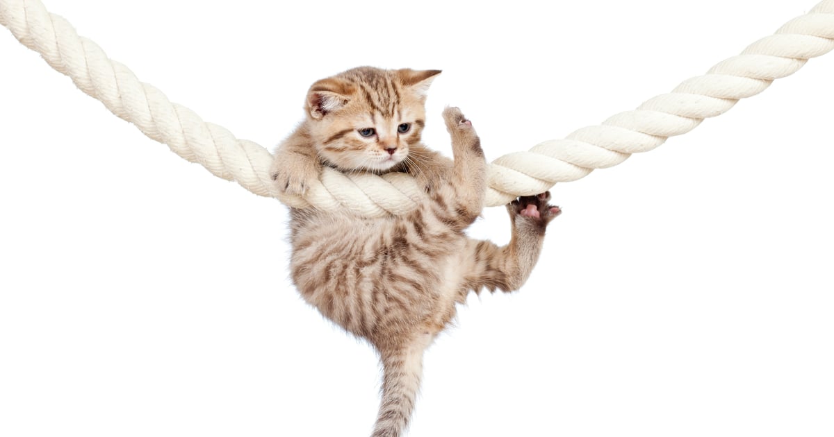 Thanks for Crushing the Submissions Inbox. We're Trying to Keep Up