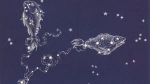 A drawing of the Pisces constellation A drawing of the Pisces constellation