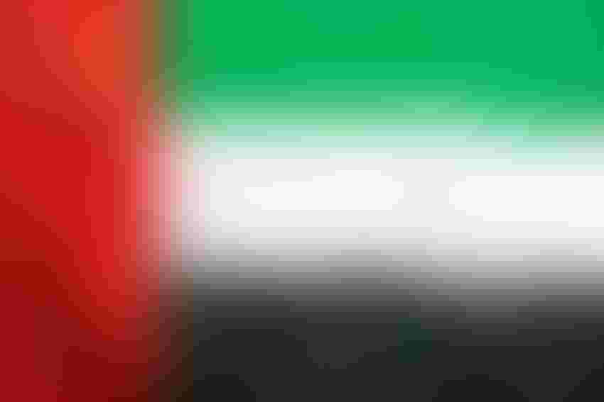 United Arab Emirates flag with binary code