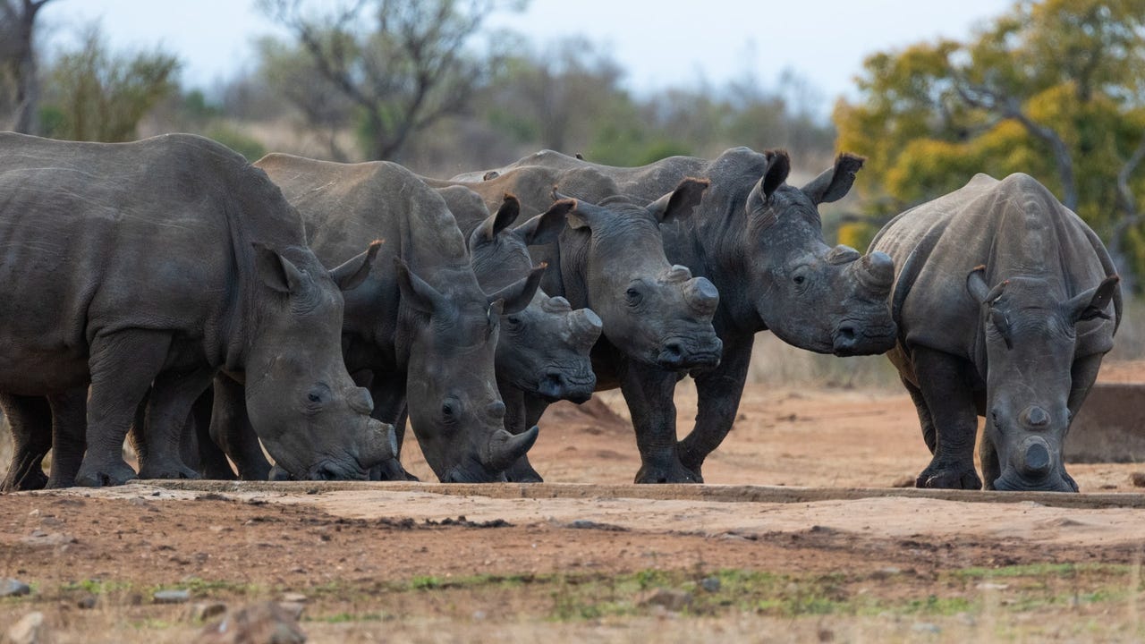 Afripol Focuses on Regional Cyber Challenges, Deepening Cooperation