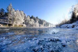 Icy river bank, hoarfrost on trees, Isar, nature reserve Isarauen, Bavaria, Germany
