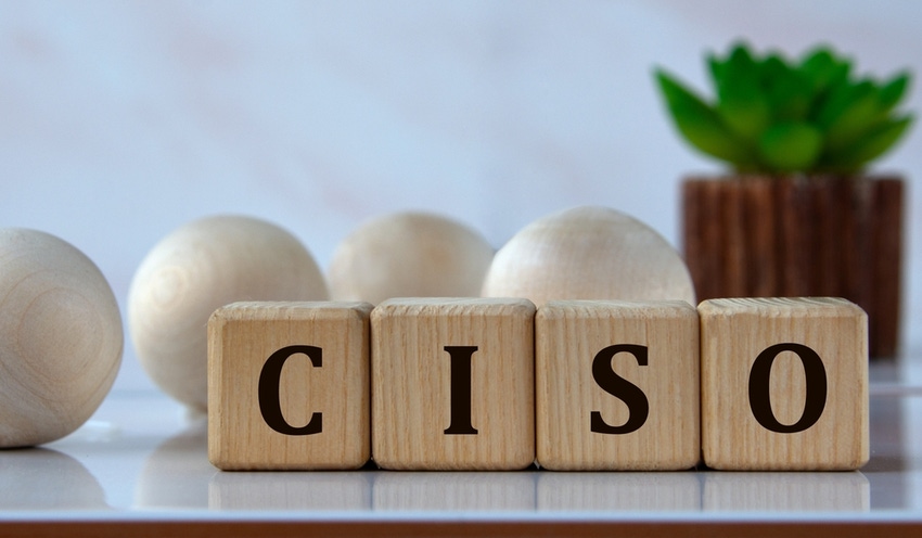 CISO (Chief, Information, Security, Officer) acronym on wooden cubes against the background of light balls and cactus.