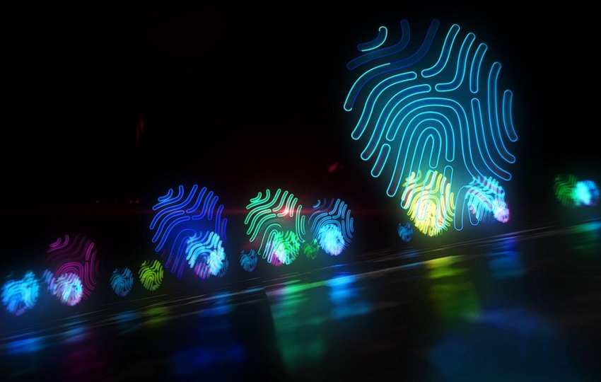 Digital fingerprints