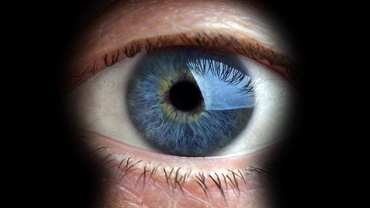 ‘PassiveNeuron’ Cyber Spies Target Orgs with Custom Malware