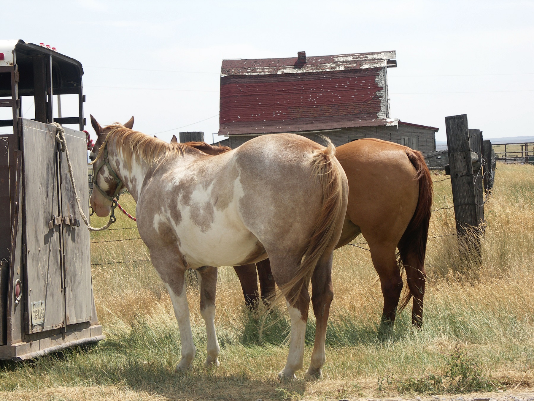 Your Cybersecurity Budget Is a Horse's Rear End