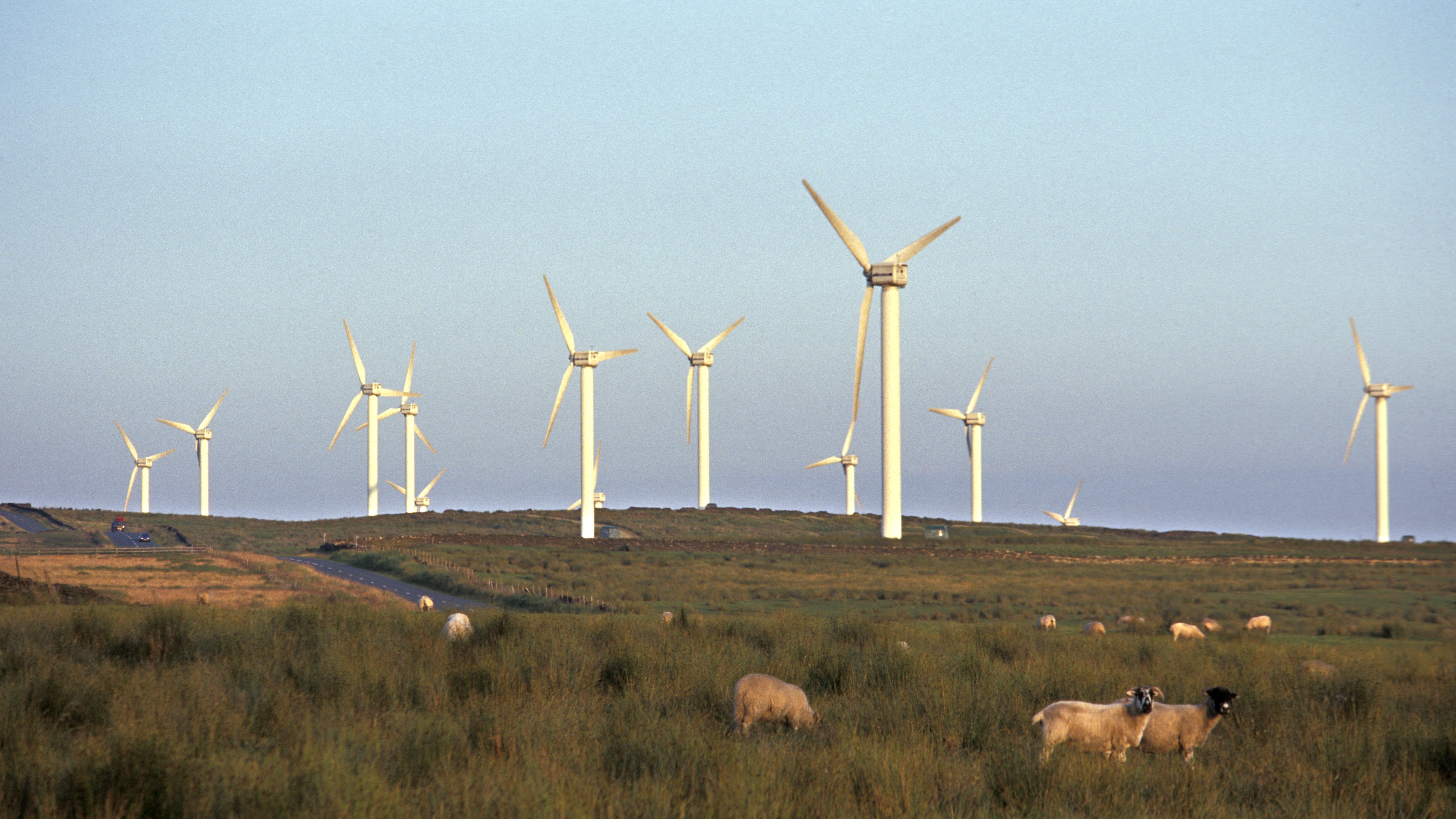 Poland Energy Survives Attack on Wind, Solar Infrastructure