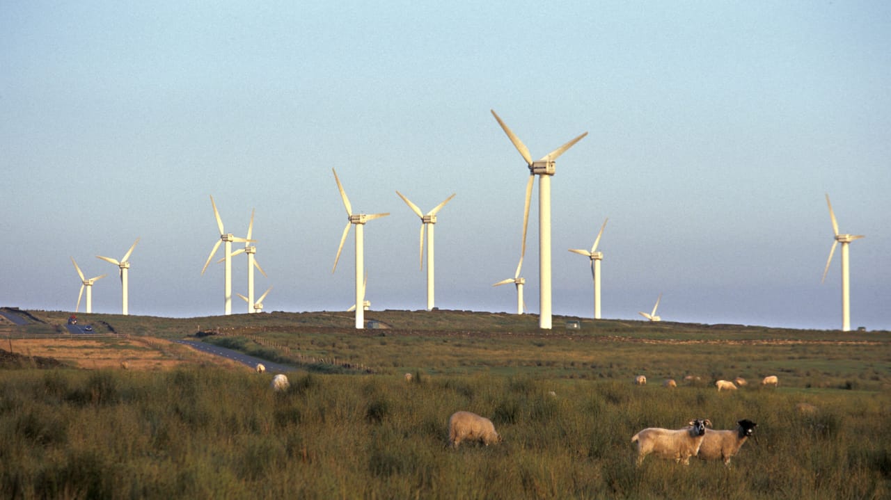 Poland Energy Survives Attack on Wind, Solar Infrastructure