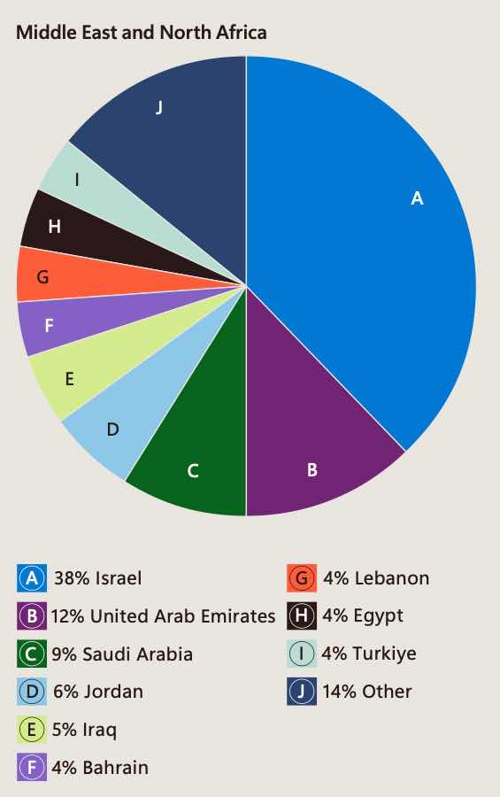 Orta Doğu ve Kuzey Afrika'daki siber saldırıların pasta grafiği