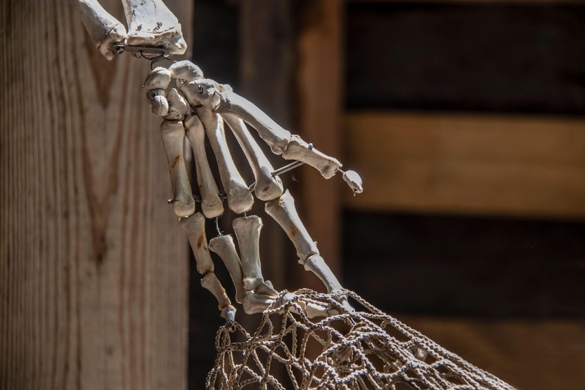skeleton hand grabbing a net to illustrate KillNet