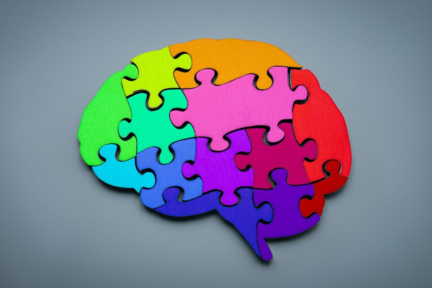 Different-colored puzzle pieces making up a brain