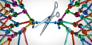 Scissors cutting multicolored rope