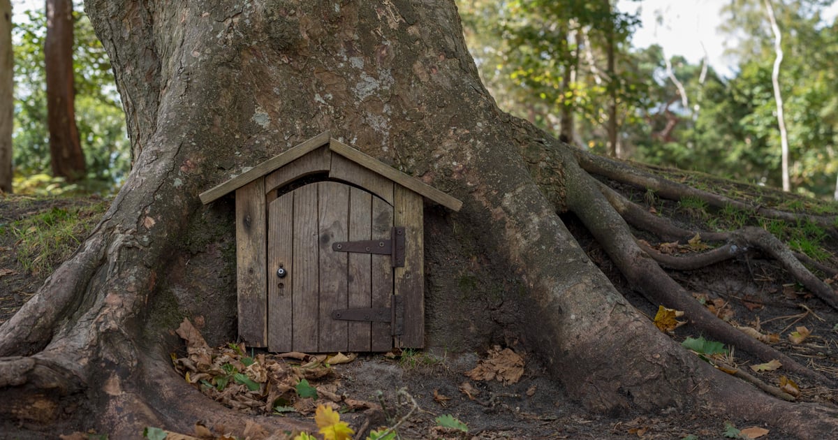 Taiwan University Faces Criticism for Unusual DLL Backdoor Taiwan University Faces Criticism for Unusual DLL Backdoor