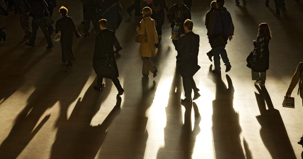 What Application Security Within Shadow IT Looks Like What Application Security Within Shadow IT Looks Like