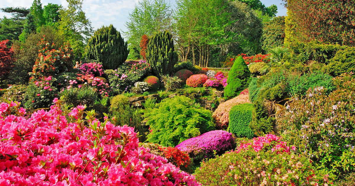 Cybercriminal Network Flourishes in Iraq Cybercriminal Network Flourishes in Iraq