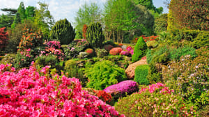 Leonardslee garden in full bloom, Sussex UK Leonardslee garden in full bloom, Sussex UK