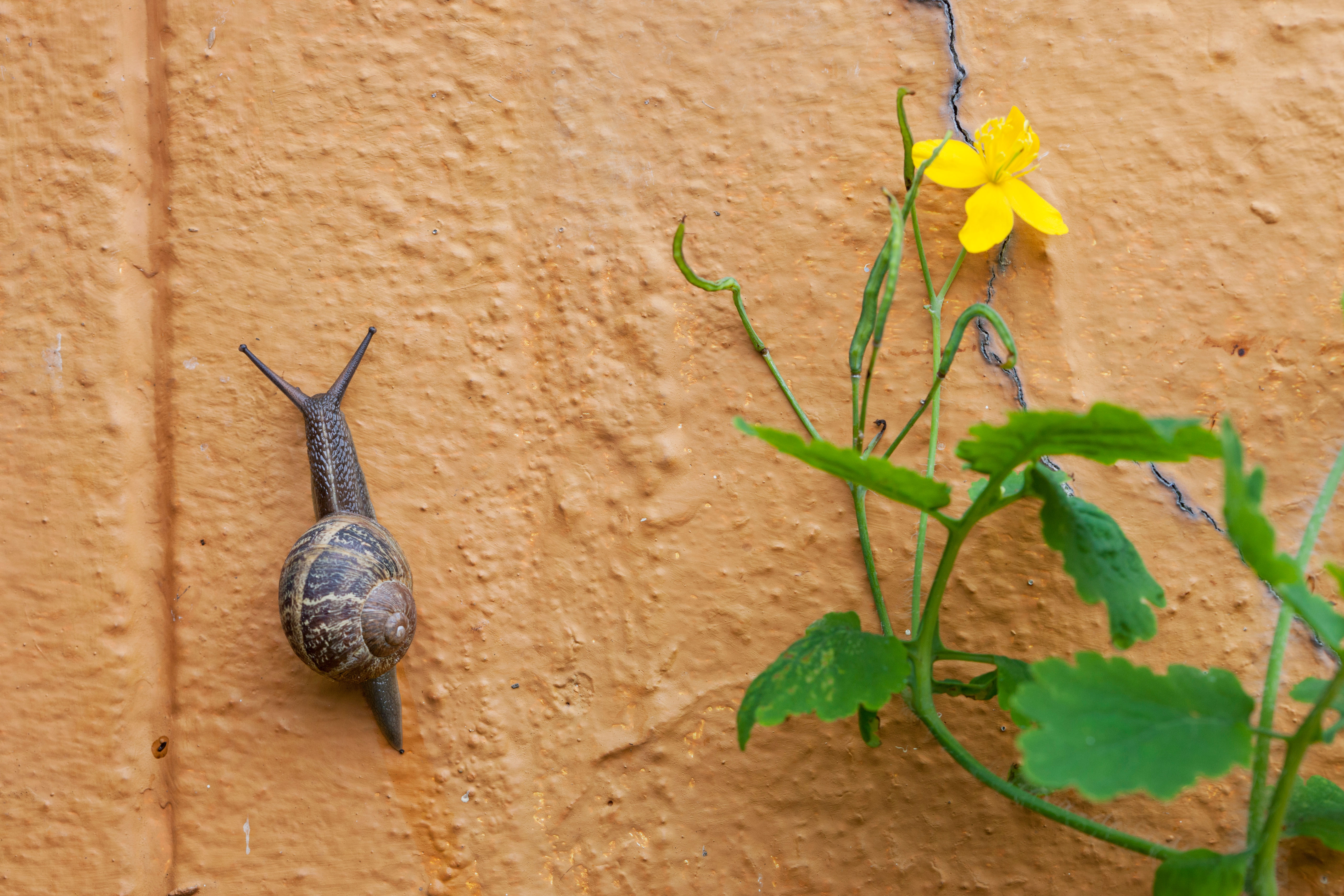 Iranian State APT Blitzes Telcos & Satellite Companies