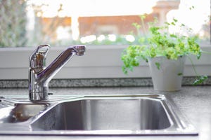Stainless steel kitchen sink with a plant