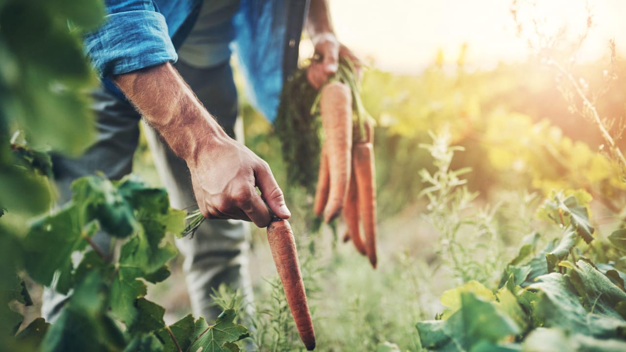 Less Lucrative Ransomware Market Makes Attackers Alter Methods