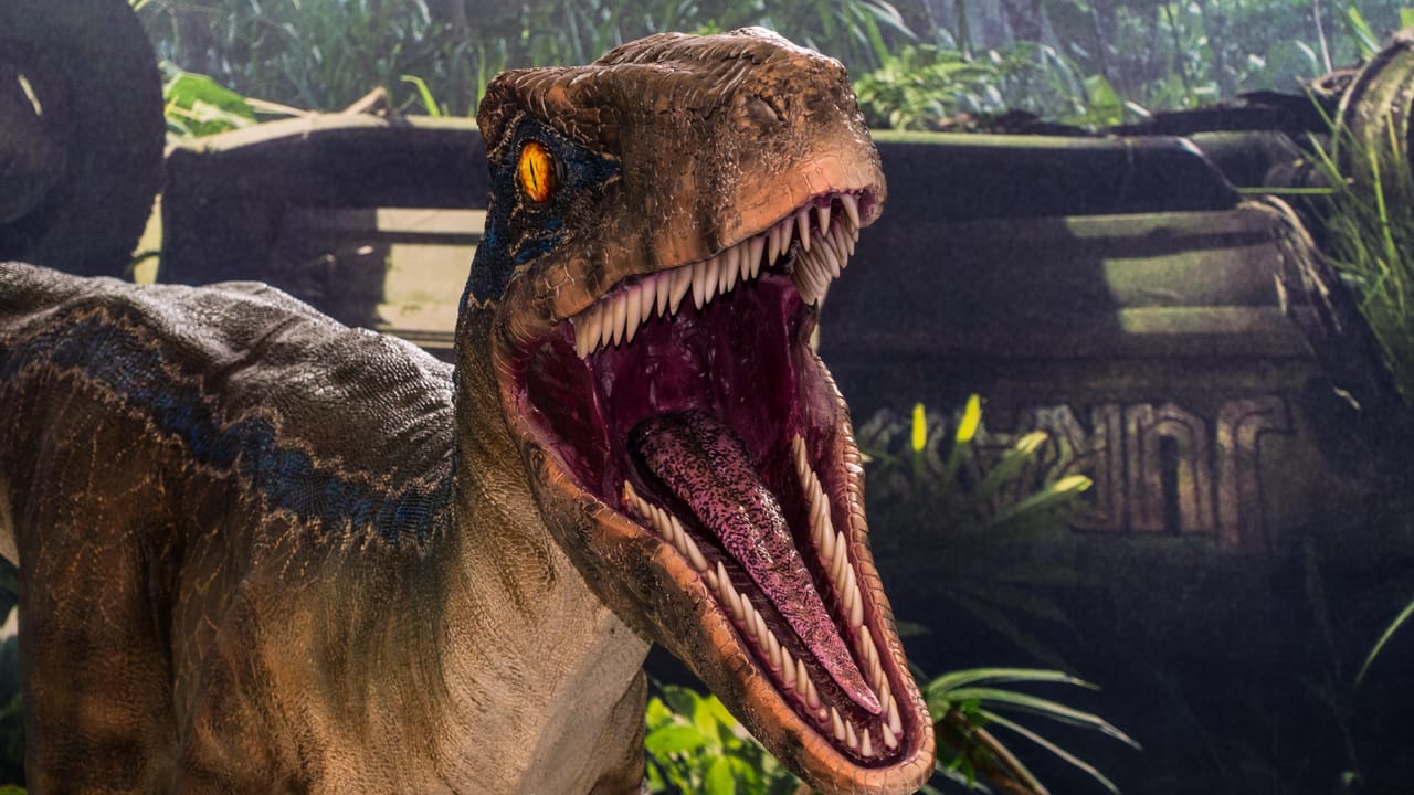 Velociraptorの画像 Velociraptorの画像
