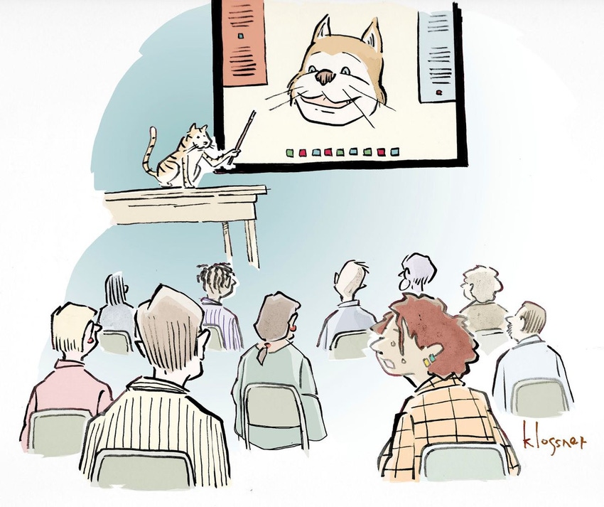 Come up with a Charming Kitten inspired caption for people attending a webinar led by a cat and with an on-screen cat.