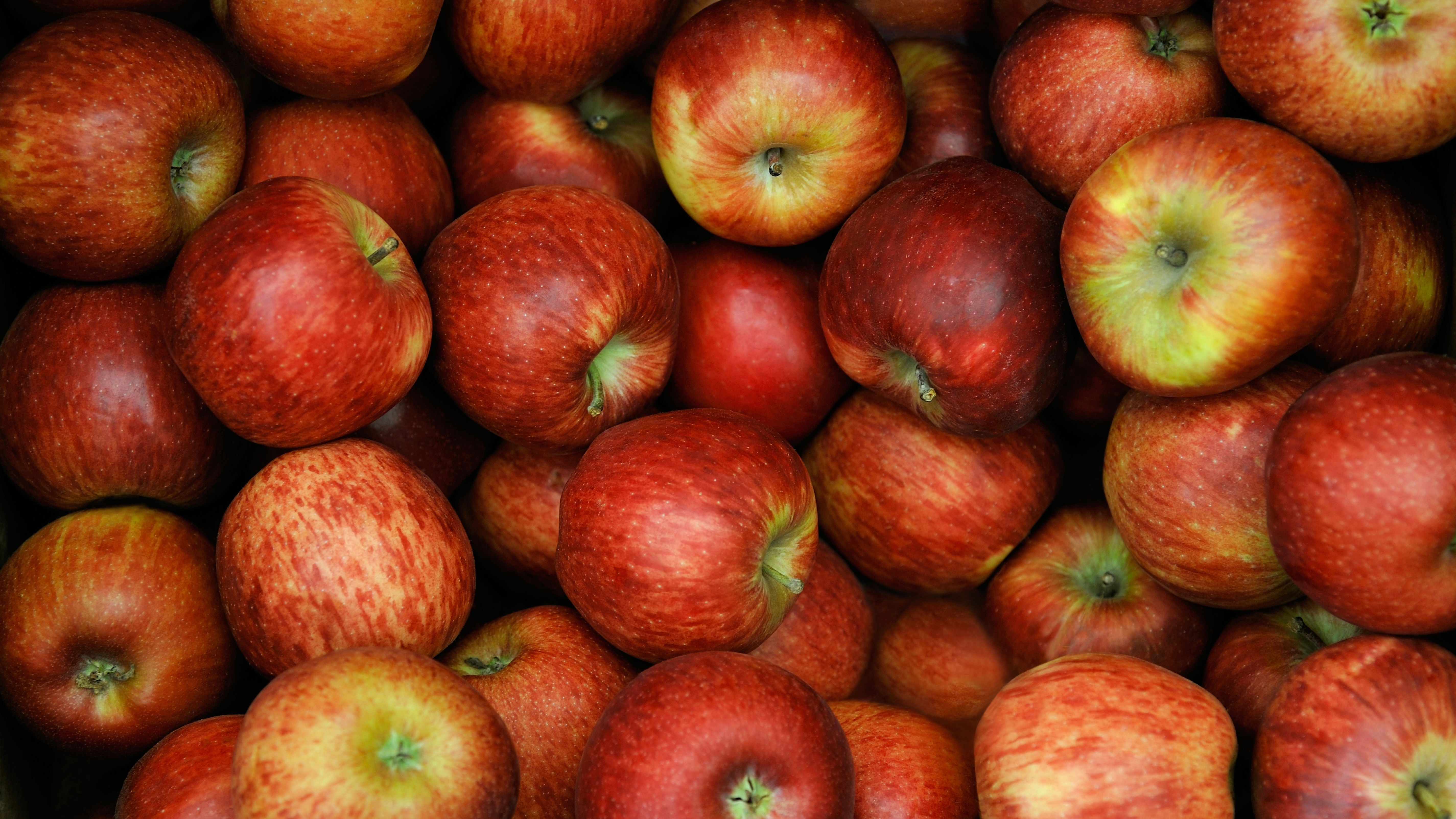 Apple Intelligence Is Picking Up More User Data Than Expected, Researcher Finds