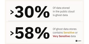 30% of data stored in the public cloud is ghost data and 58% is sensitive data.