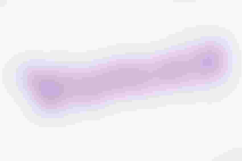 Purple Yahoo logo on a white background