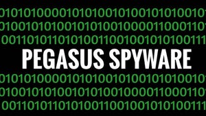 Pegasus Spyware concept with binary code background Pegasus Spyware concept with binary code background