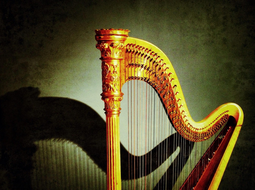 A harp in the spotlight of a darkened room