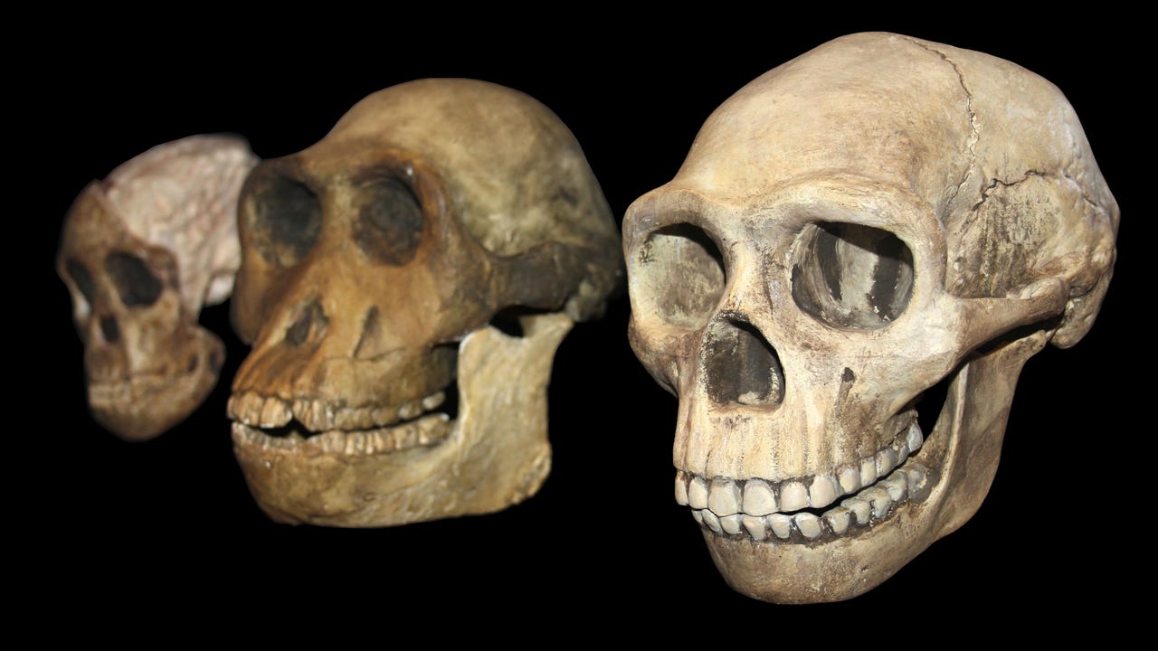 Cyber Then & Now: Inside a 2-Decade Industry Evolution