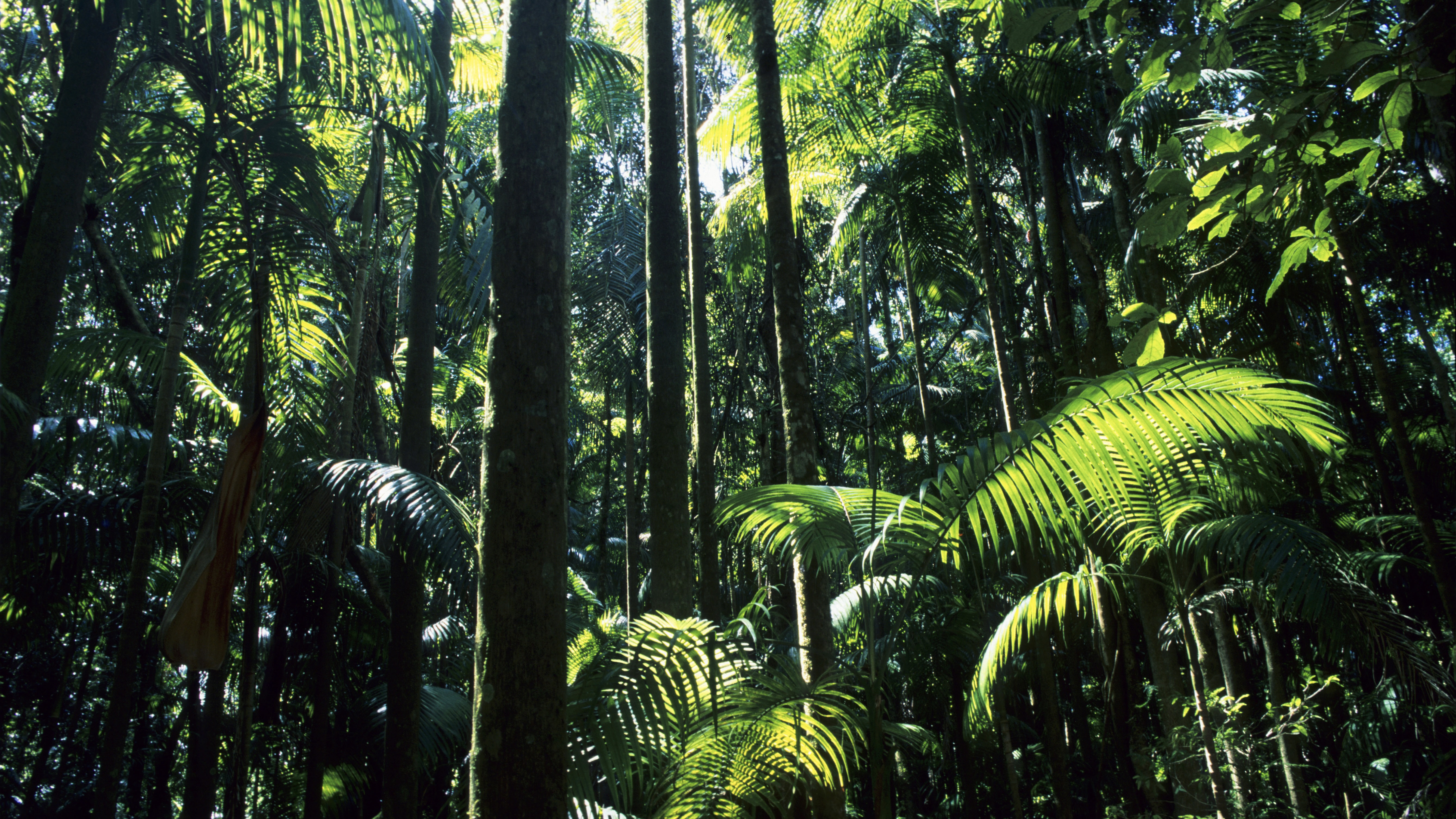 Cyber: Report: Tropic Trooper APT Takes AIM At Home Routers, Japanese Targets