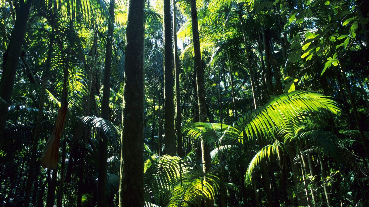 Tropic Trooper APT Takes Aim at Home Routers, Japanese Targets