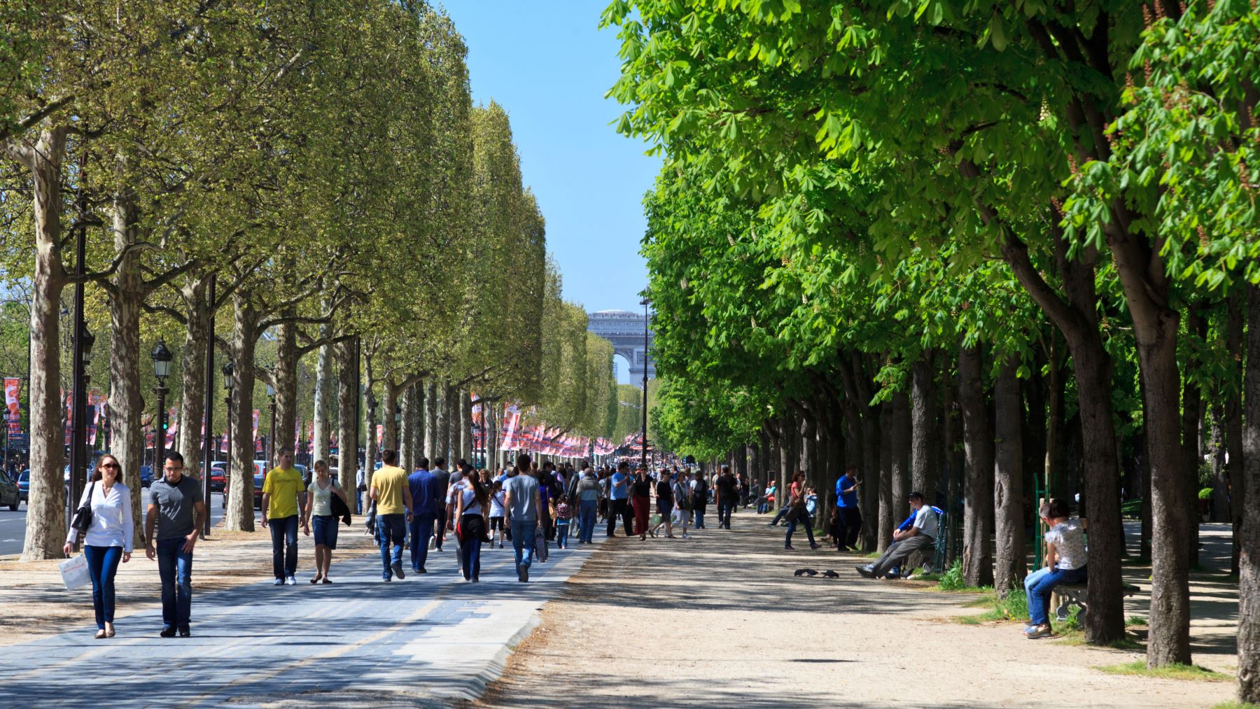 Printer Security Gaps: A Broad, Leafy Avenue to Compromise