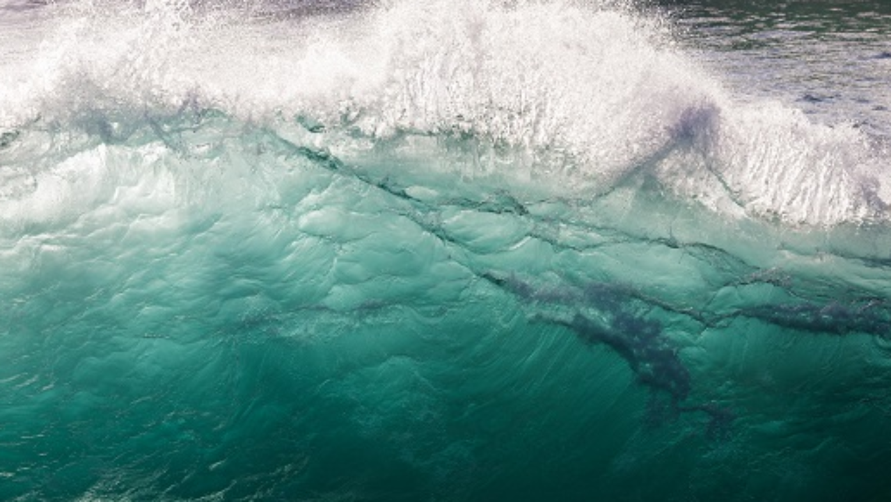 Poisoned npm Packages Disguised as Utilities Aim for System Wipeout