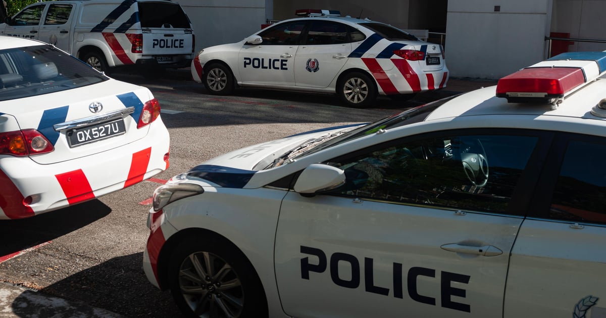 Singapore detains 6 individuals in West African cybercrime investigation